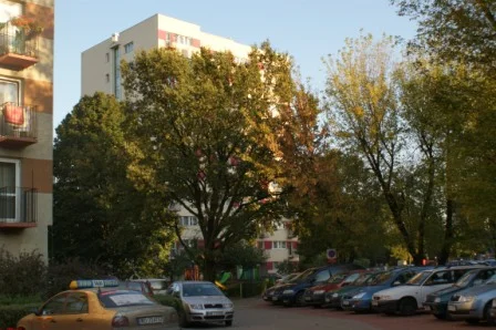 Zdjęcie z galerii