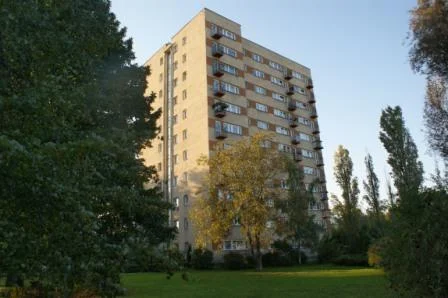 Zdjęcie z galerii
