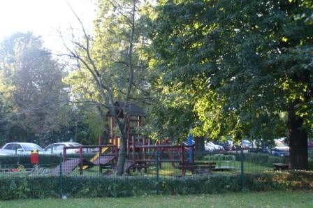 Zdjęcie z galerii
