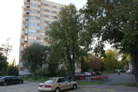 Zdjęcie z galerii