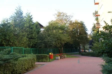 Zdjęcie z galerii
