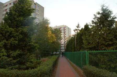 Zdjęcie z galerii