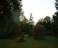 Zdjęcie z galerii