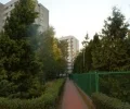 Zdjęcie z galerii